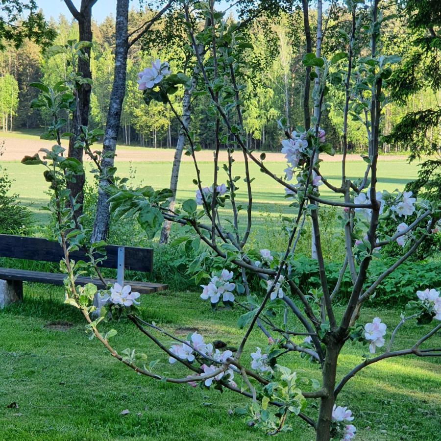 Torpet Gardsvaegen Holiday home *